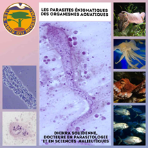 Conf : Les parasites énigmatiques des organismes aquatiques