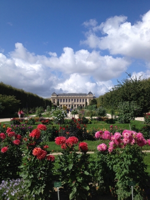 Jardin des Plantes