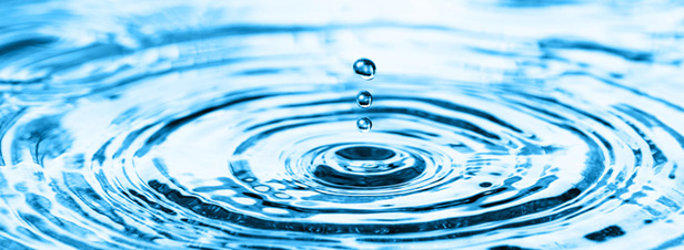 Conf : l'Eau
