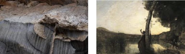 Conf : biodiversité dans l’art depuis l’antiquité/renaissance et géodiversité vue du géologue