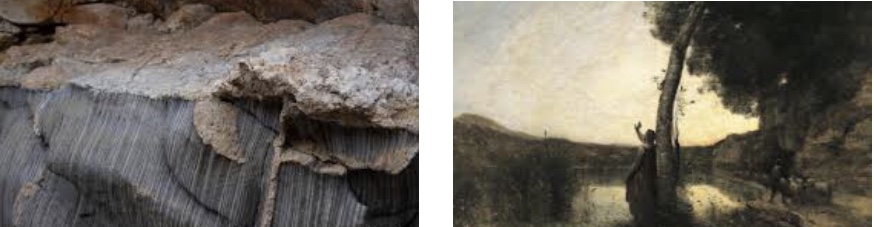 Conf : biodiversité dans l’art depuis l’antiquité/renaissance et géodiversité vue du géologue