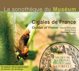 Cigales de France (1 CD)