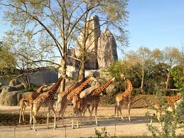 Conf : le zoo de Paris, un acteur de la préservation de la biodiversité
