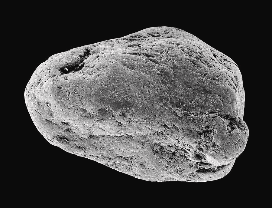 Conférence « Microméteorites » 10 octobre 14h30