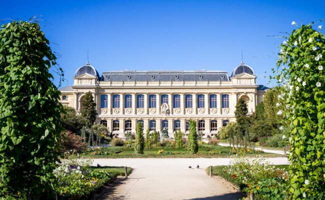 Conférence « Artistes au Muséum, 400 ans d’art et de science » 7 novembre 14h30